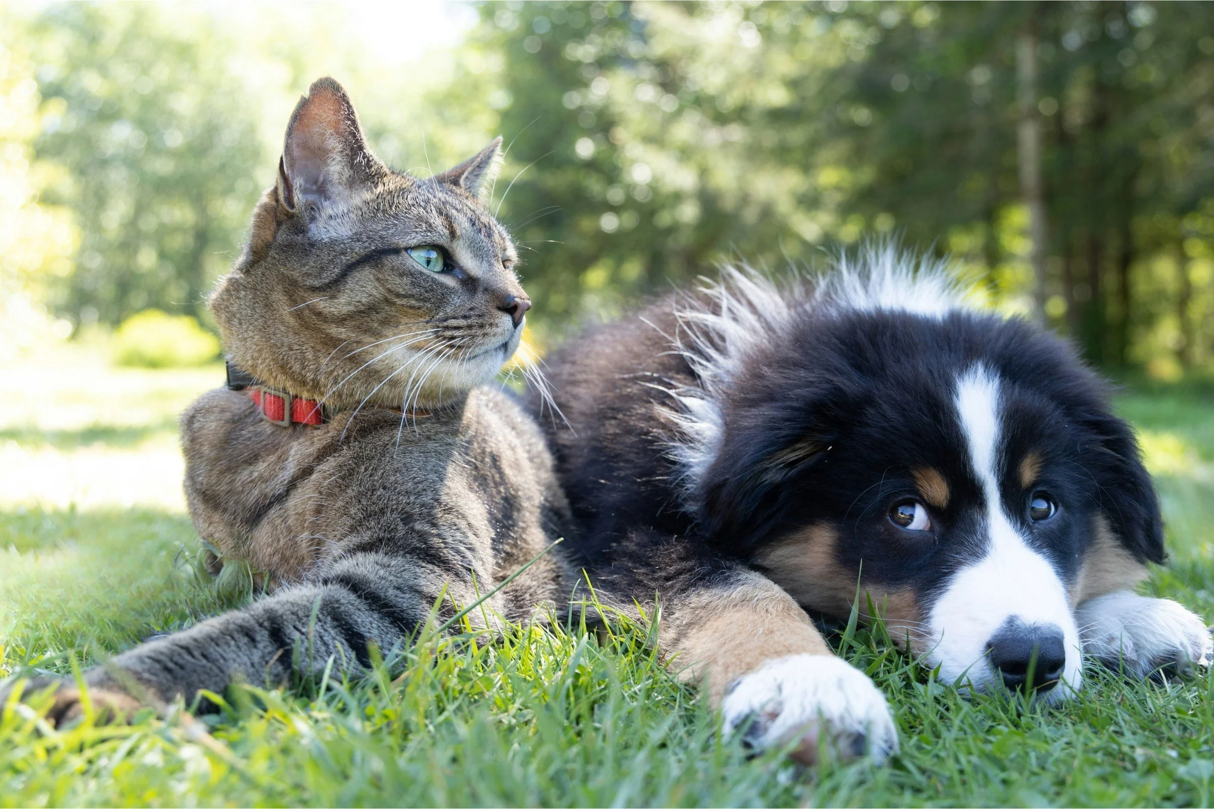 Welcome to Our Store